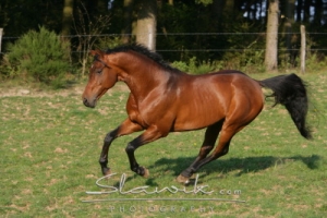 staj_ufonek5783.jpg